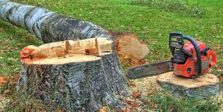 Best Tree Mulching  in Lake Tapps, WA