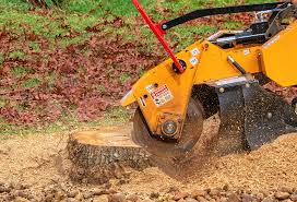 Reliable Lake Tapps, WA Tree Services Solutions
